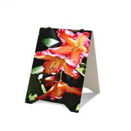 CABALLETE DIN A1 en sandwich de aluminio